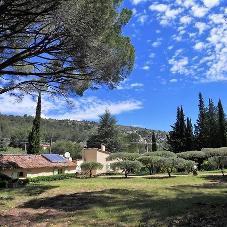 Le Mas Des Oliviers Bed & Breakfast Salernes Exterior photo