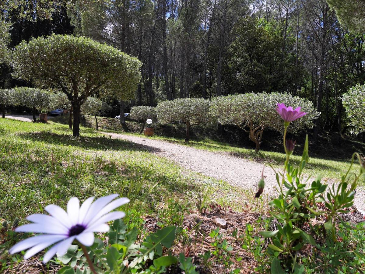 Le Mas Des Oliviers Bed & Breakfast Salernes Exterior photo