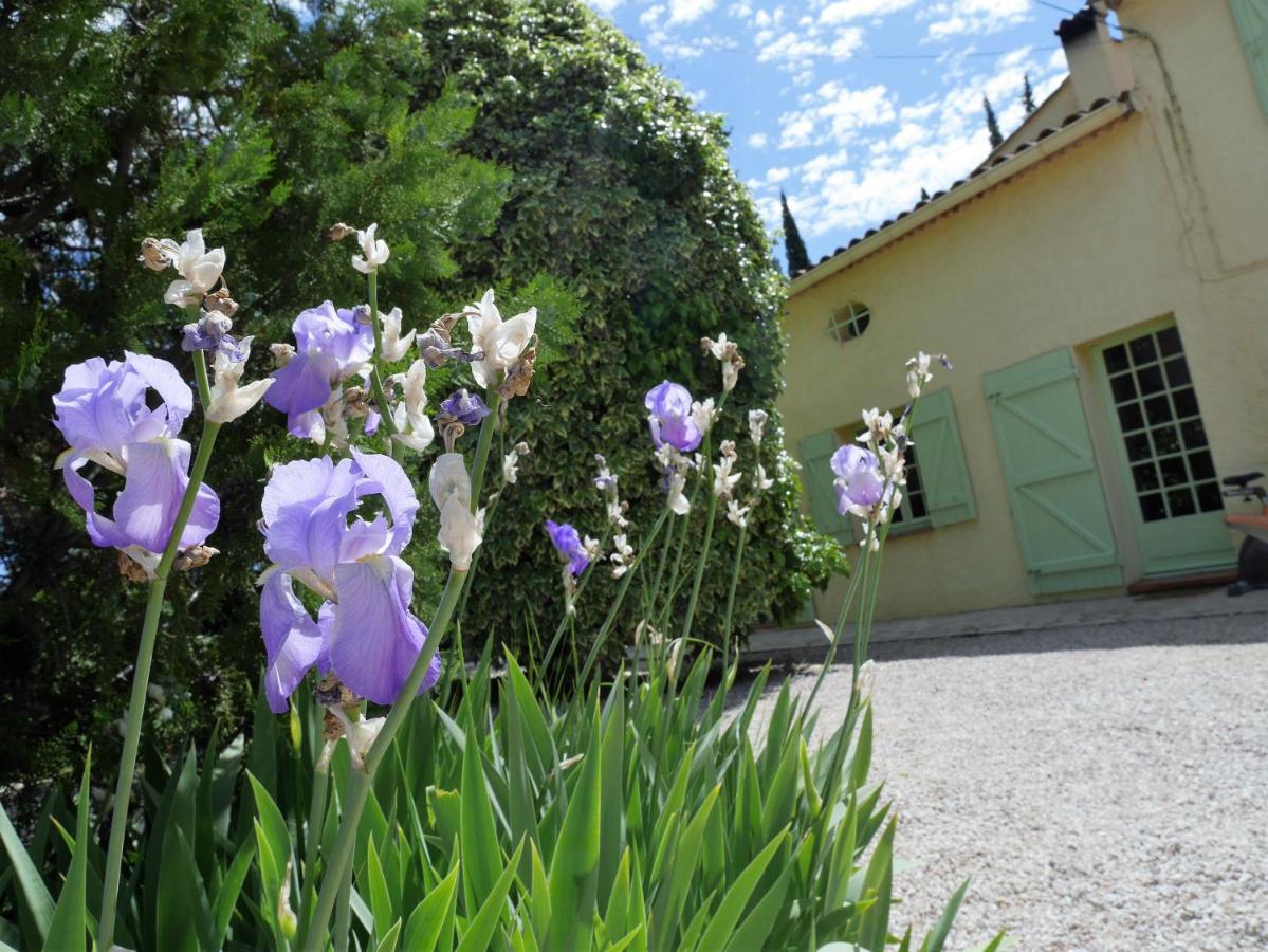 Le Mas Des Oliviers Bed & Breakfast Salernes Exterior photo